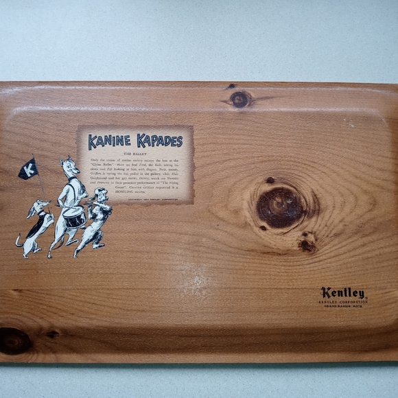 Kanine Kapades Trays by Kentley Corporation. - Picture 2 of 7